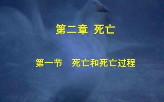 霍金斯的死亡过程30秒吓人