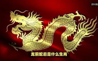 碧海青天是什么生肖