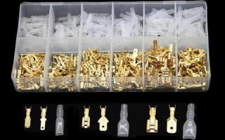 male和female是什么意思