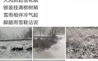正月打雷下雪有什么说法