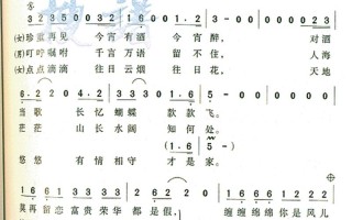 你是风儿我是沙歌词