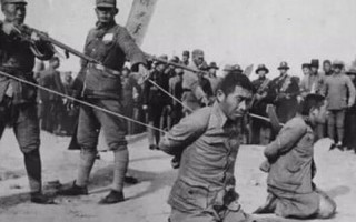 感染一例枪毙一例