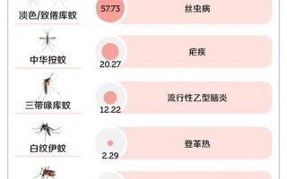 之一只蚊子的来历