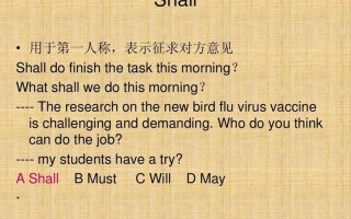 should是什么意思