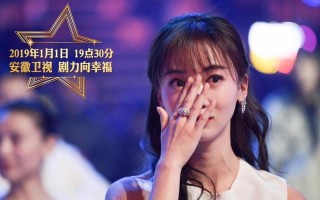 2013年安徽卫视国剧盛典