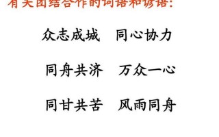 有关团结合作的词语