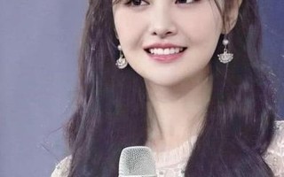 郑爽旗下艺人名单