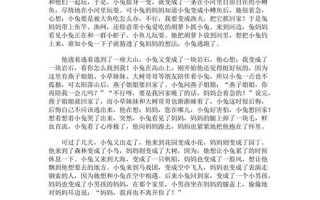 老师你的兔子好软水好多的作文