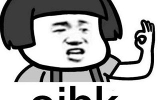 脏话WAP是什么意思
