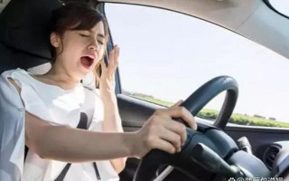 一家5口出游 12岁孩子驾车40公里