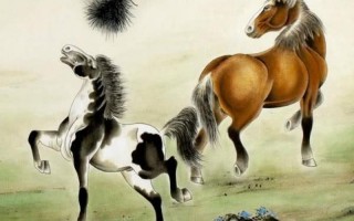 视如珍宝是什么生肖