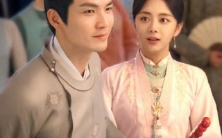 锦心似玉演员表介绍 锦心似玉的电视剧简介