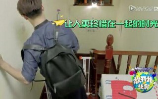 放开我北鼻马天宇什么时候回来啊