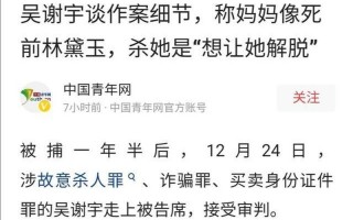 吴谢宇讲述作案动机