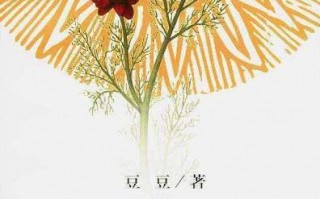 《遥远的救世主》既被视为救世主,为何说是遥远的?遥远的救世主为什么是禁书