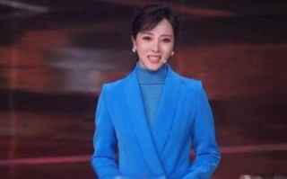 如何评价央视主持人李思思?央视主持人李思思的胸多大