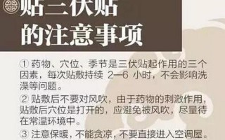 三伏贴怎么贴贴哪里