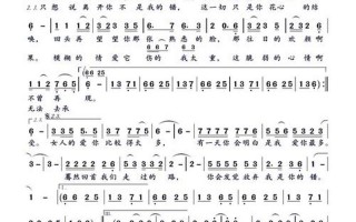 放弃我是你的错歌词
