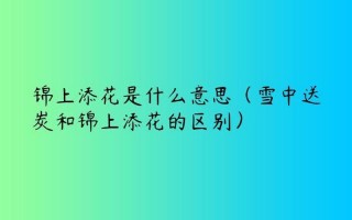 锦上添花的近义词