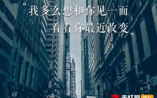 危险危险危险好久不见是什么歌