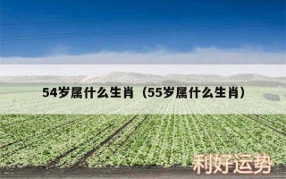 先入为主是什么生肖