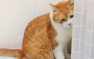 哼都怪你也不哄哄人家