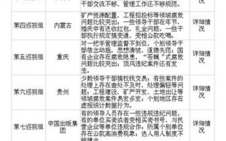 中央巡视组巡视多久