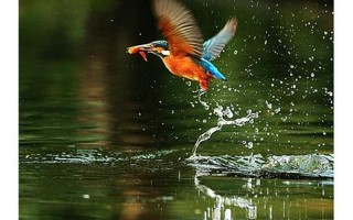 潭影空人心的上一句