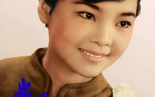 邓丽君简历个人资料简介