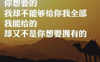 你想要的我却不能给你我全部