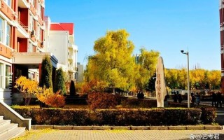 东北齐齐哈尔大雪