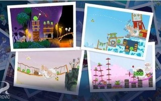 愤怒的小鸟季节版激活码