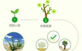 蚂蚁森林怎么浇水