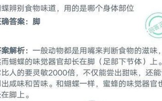 蝴蝶辨别食物味道用身体哪个部位