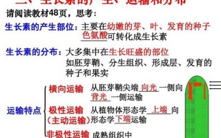 生长素的化学本质
