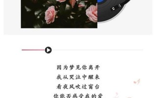 你有多久没有看过那片海什么歌