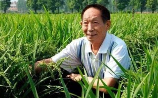 袁隆平是哪里人？什么身份？