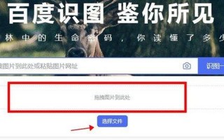 今天拍照识图了吗