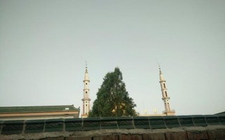 宁夏吴忠市红寺堡区
