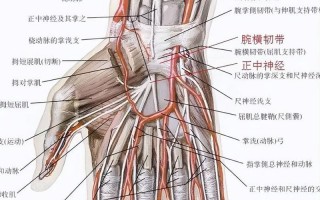 如何一根手指就让人起不来