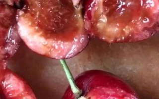 樱桃里面为什么会有小白虫