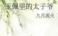 谁有九月流火的《玉佩里的太子爷》(玉佩里的太子爷男主有妾吗)