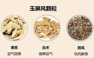 玉屏风散的功效与作用和适用人群