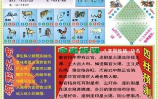 免费资料综大全