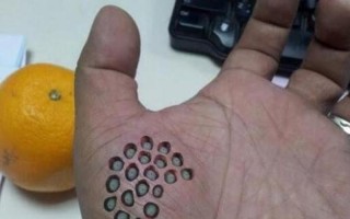 空手指十大恶心图片