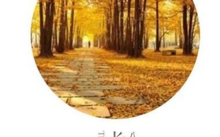 你喜欢银杏吗下一句