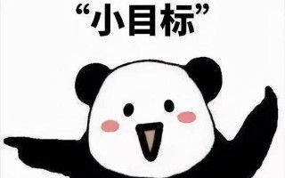 立flag是什么意思中文