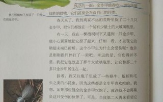 布甲昆虫介绍100字