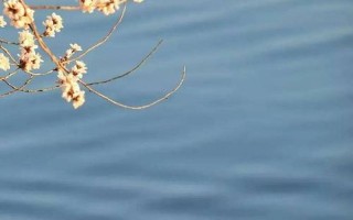 浮光跃金静影沉璧翻译