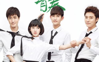 致青春电视剧演员表